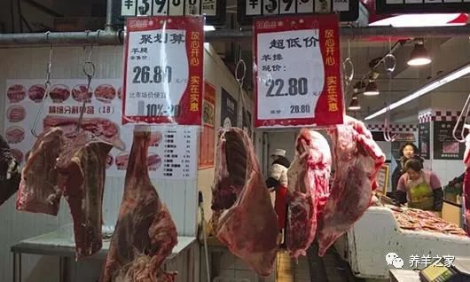 锡盟牧民,近期羊少,活羊收购价上涨导致羊肉上涨