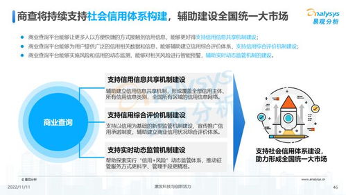透视用户需求深挖服务潜力 2022中国商业查询行业洞察
