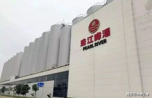 珠江啤酒大家熟吗 不熟 我来介绍一下就熟了