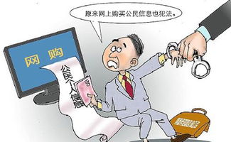 网购20万条车主信息,每条仅1分钱?商务信息咨询背后的法律风险