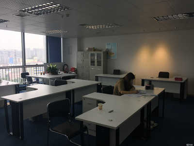 米发商务信息咨询公司 专业咨询助力企业决策与成长